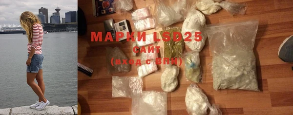 прущие грибы Беломорск