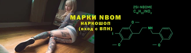 прущие грибы Беломорск