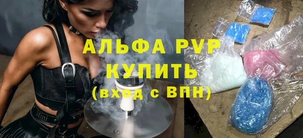 прущие грибы Беломорск