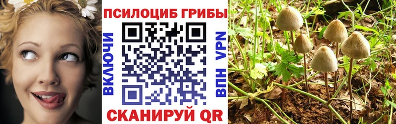 Галлюциногенные грибы Magic Shrooms  Севск 